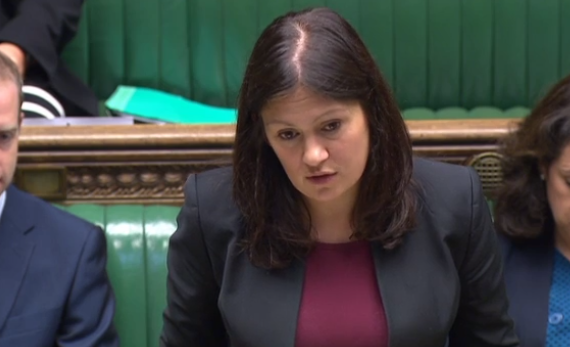 Lisa Nandy, shadow shadow energy secretary, claimed the Government’s plans has left investors “scratching their heads”