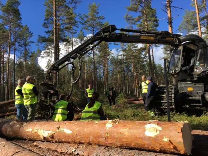 SCA Wood recently hosted a group of university lecturers at its operations in northern Sweden
