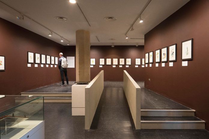 The need for a proven acoustic solution and attractive aesthetics led to the StoSilent Distance system being installed at the Garden Museum in London.
