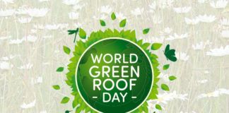 Small is beautiful on World Green Roof Day World Green Roof Day is taking place on 6 June, 2020