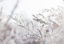 SIG Roofing urges contractors to get winter ready In a country with weather as notoriously changeable as the UK’s, winter can be a particularly challenging time for roofing contractors