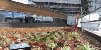 Specification considerations for blue roof SuDS attenuation systems An extensive green roof finish for promoting a new ecosystem