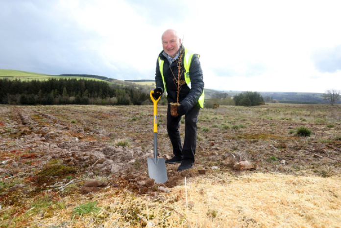 Selco's chief executive officer Howard Luft plants a tree at Selco Forest.