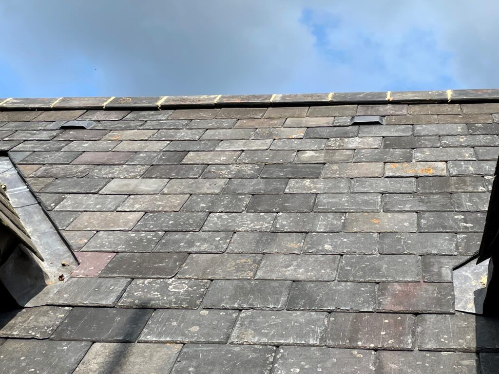 Bespoke roof tile delivers protection UK’s bats | Roofing Cladding ...