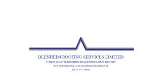 Experienced Project Manager