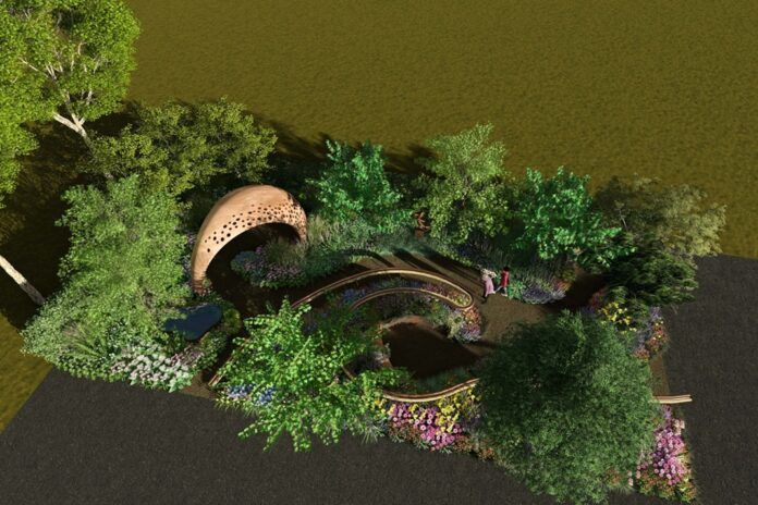 A garden for every Parkinson's Journey - Arit Anderson - Garden Illustration 2 Accoya