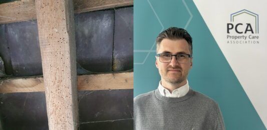 PCA: Specialist survey can ensure compliance on woodworm PCA