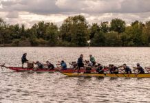 Industry takes to water for LRWA Dragon Boat Regatta